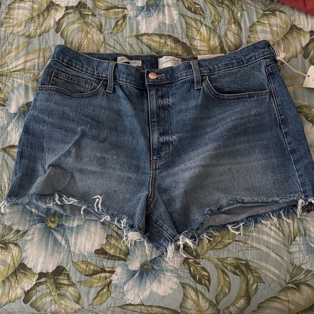 Universal Thread Blue Jean Shorts